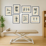 Physio Praxis Starter Set - Animus Medicus GmbH