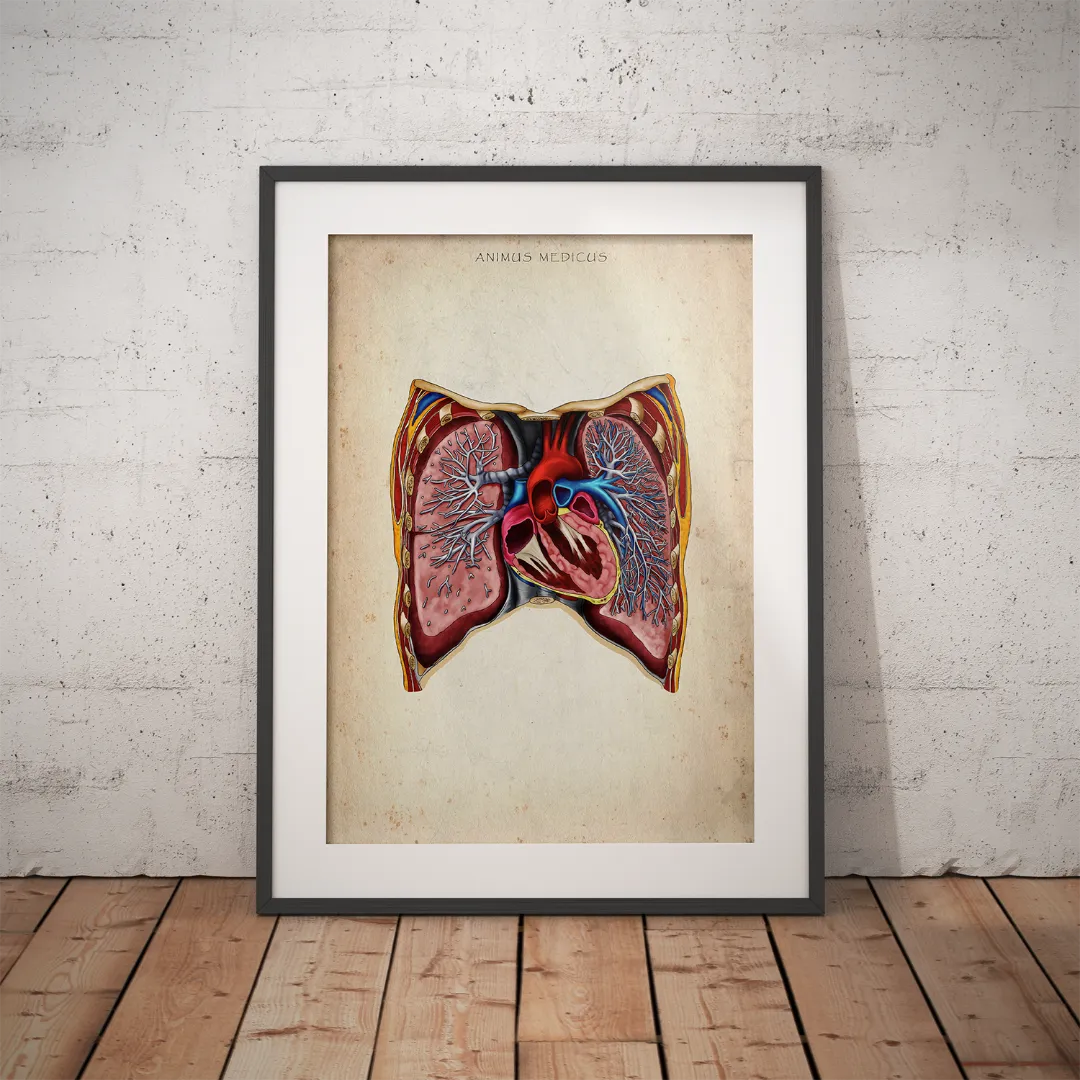 Reallife Triple Bundle - Animus Medicus GmbH