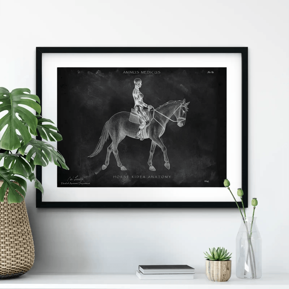 Reiten Anatomie Poster - Chalkboard - Animus Medicus GmbH