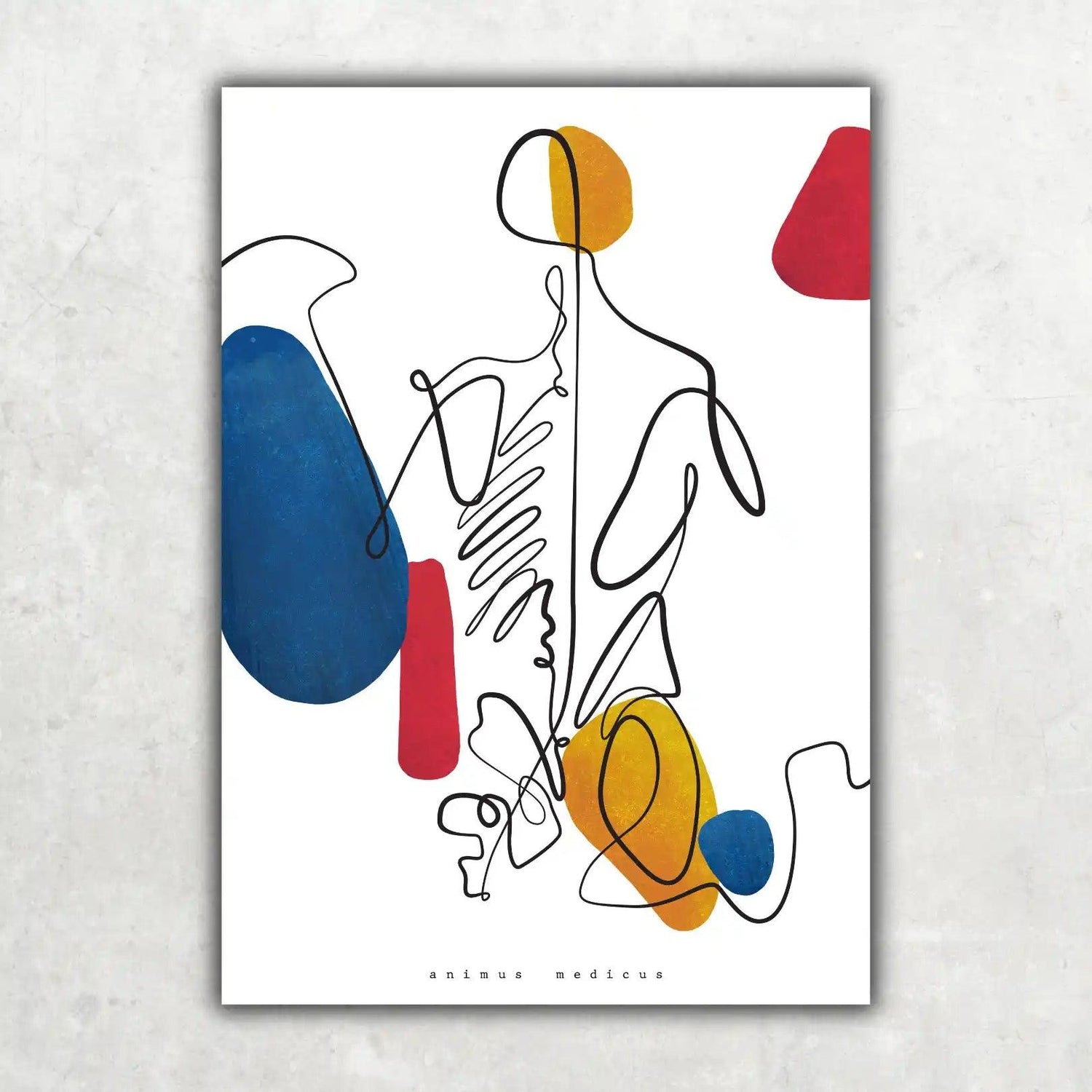 Rücken Anatomie - Abstrakt - Animus Medicus GmbH