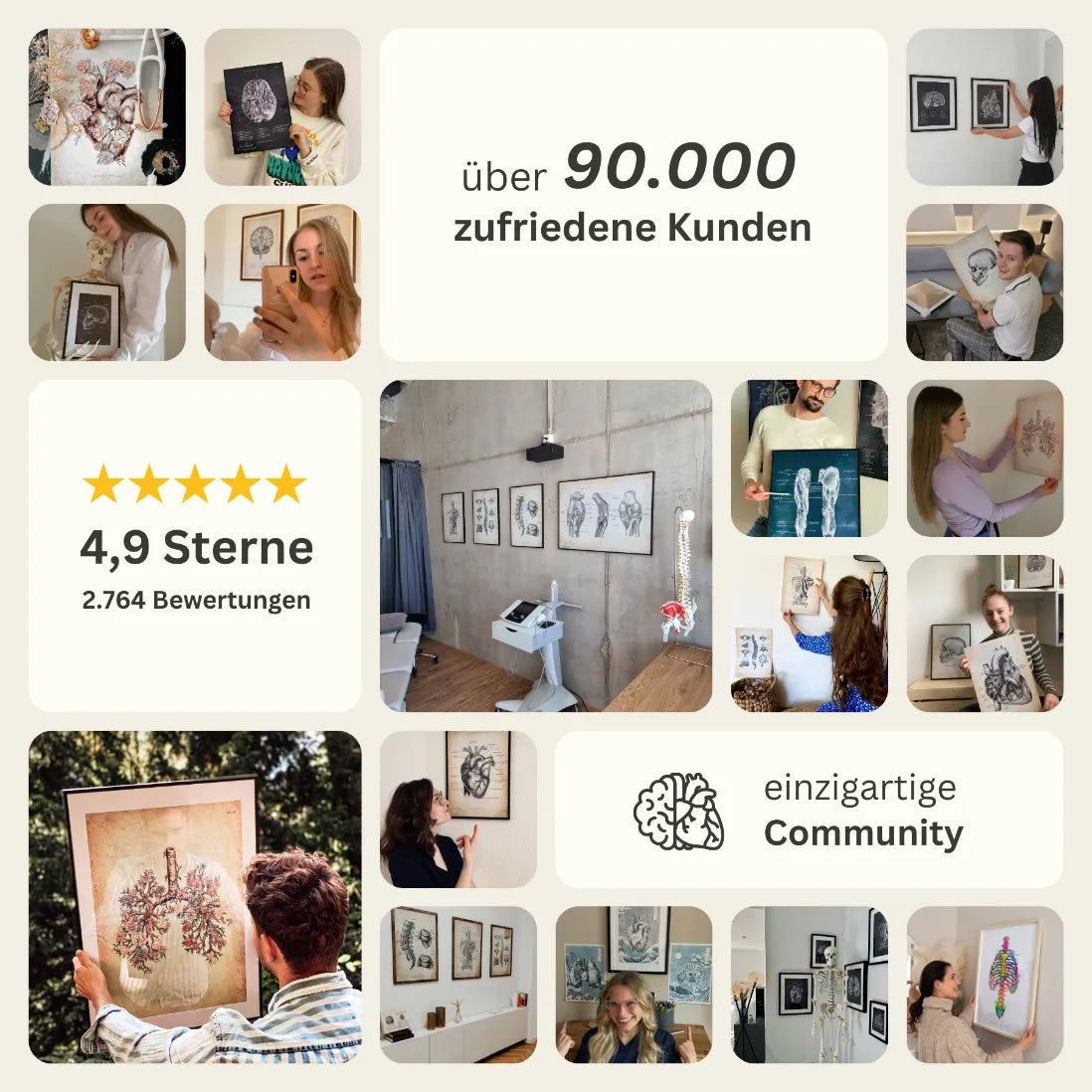 Rücken Anatomie Minimalist - Animus Medicus GmbH