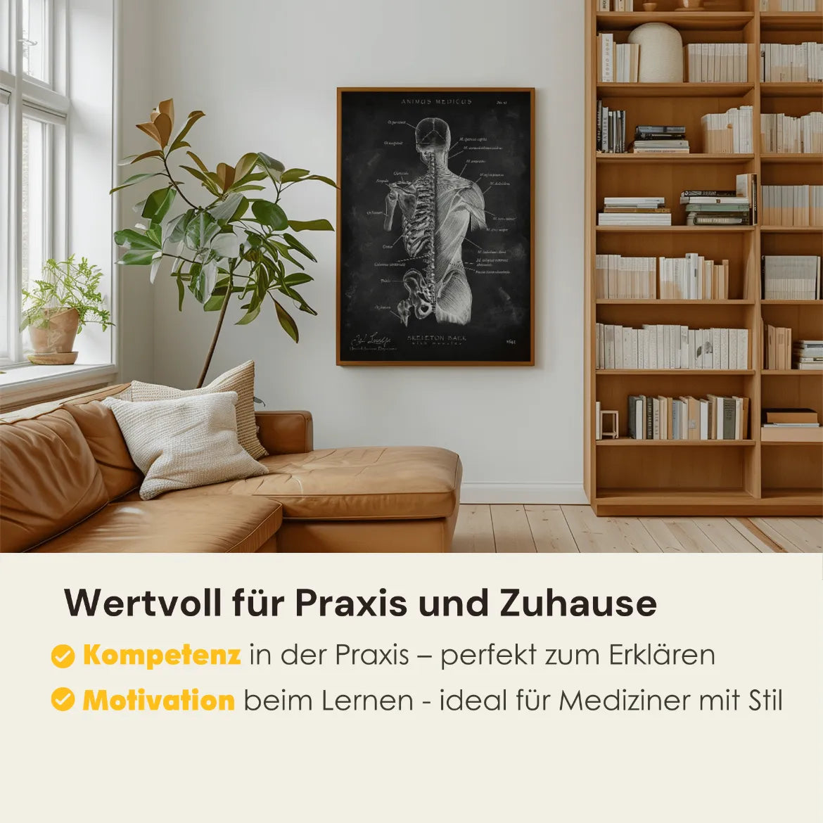 Rücken Anatomie Sammlung - Chalkboard - Animus Medicus GmbH