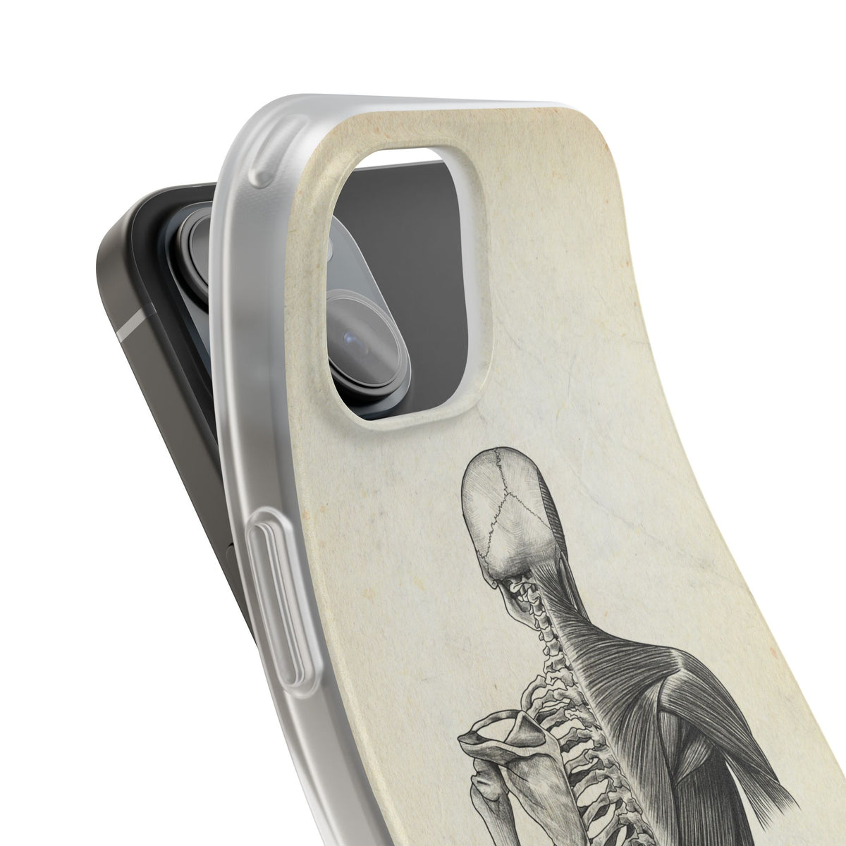 Rücken - Vintage - Animus Medicus GmbH