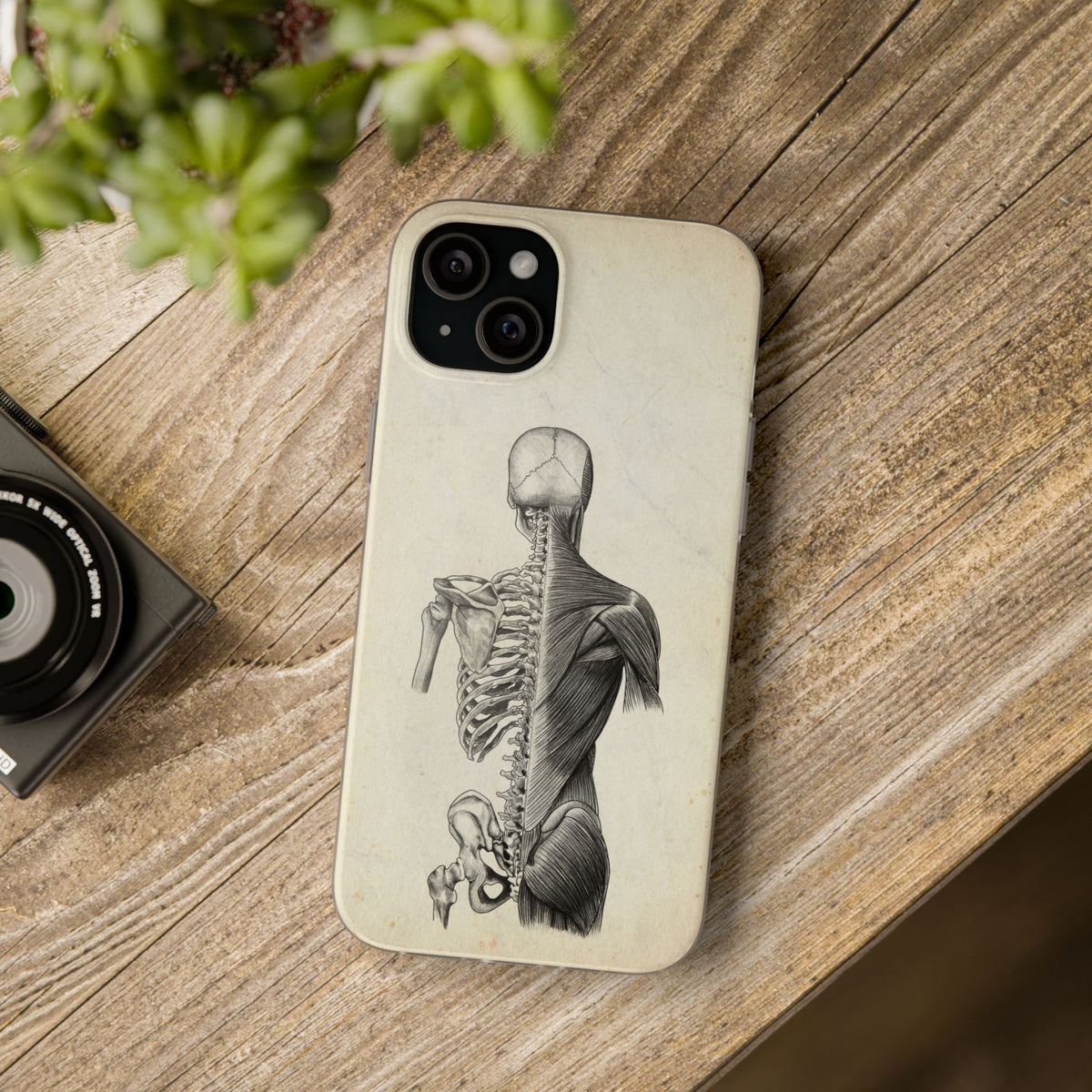 Rücken - Vintage - Animus Medicus GmbH