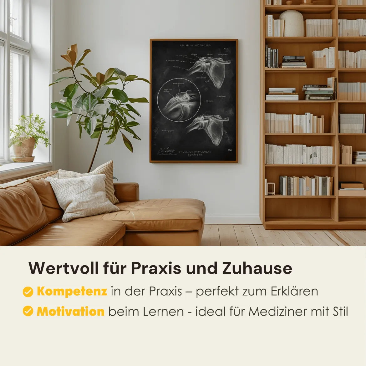 Schulter Impingement - Chalkboard - Animus Medicus GmbH