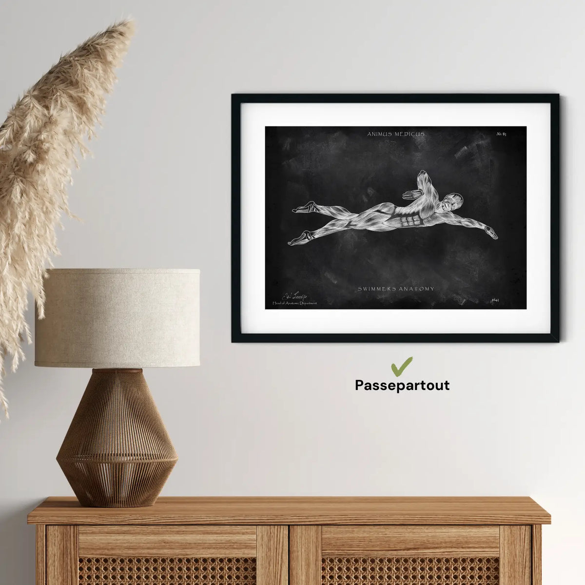 Schwimmen Anatomie Poster - Chalkboard - Animus Medicus GmbH