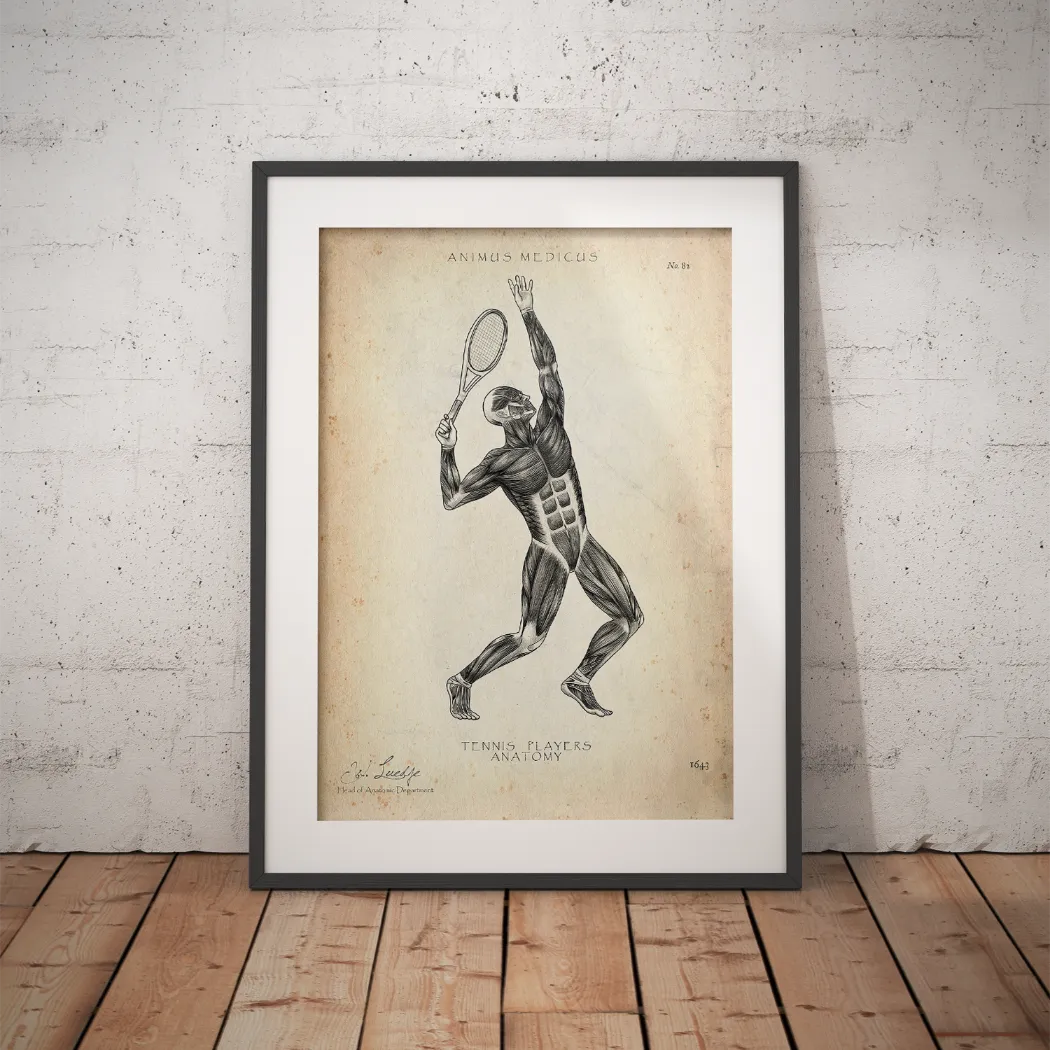 Tennis Anatomie Poster - Animus Medicus GmbH