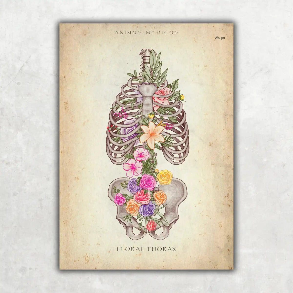 Thorax mit Blumen - Animus Medicus GmbH