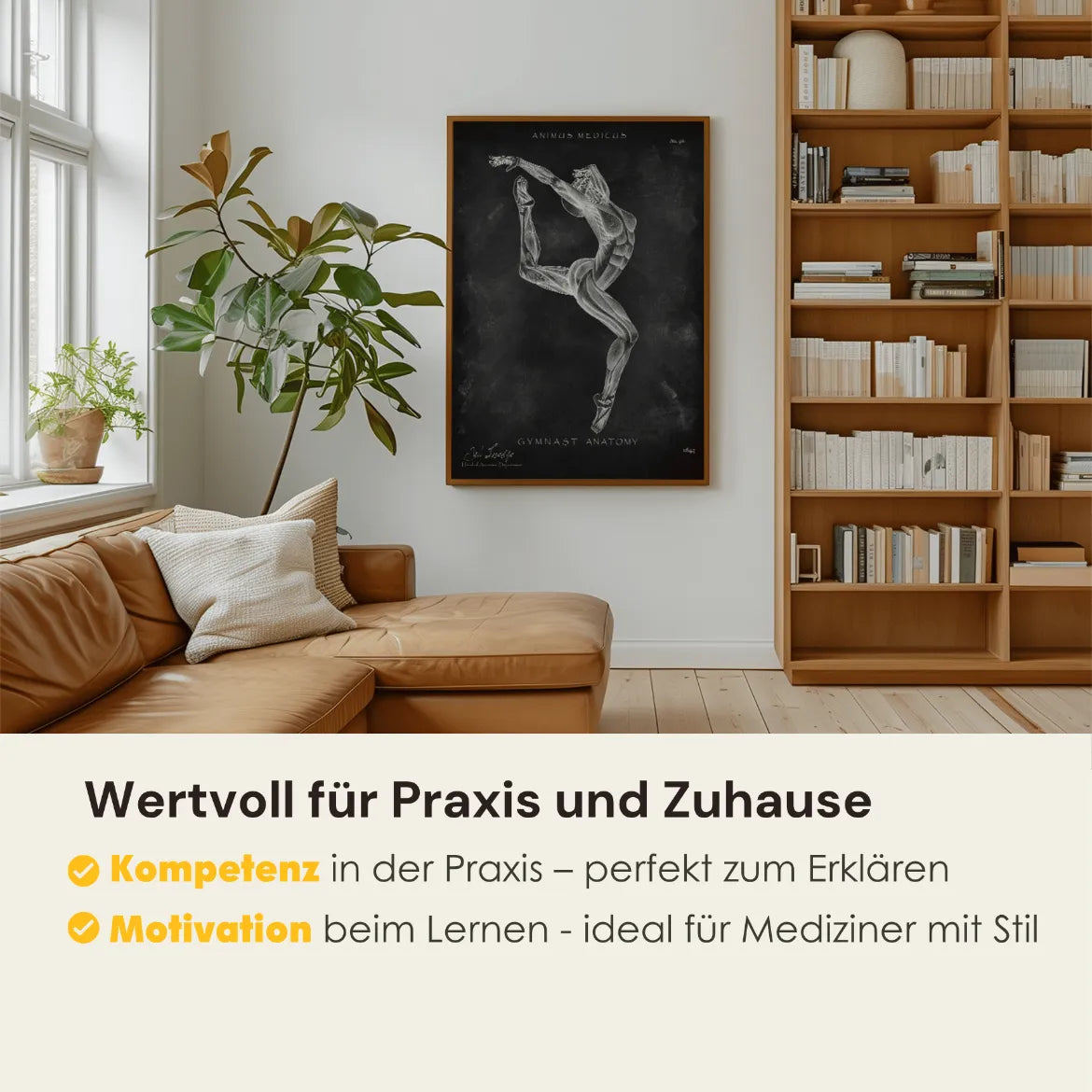 Turnen Anatomie Poster II - Chalkboard - Animus Medicus GmbH
