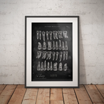 Übersicht der Zähne - Chalkboard - Animus Medicus GmbH