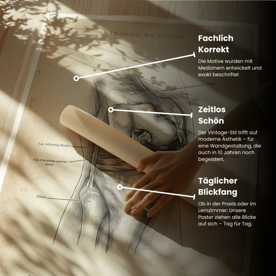 Unhappy Triad Knie - Animus Medicus GmbH