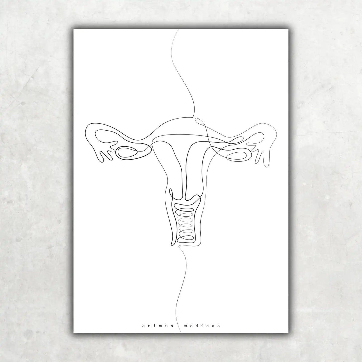 Uterus Anatomie Minimalist - Animus Medicus GmbH