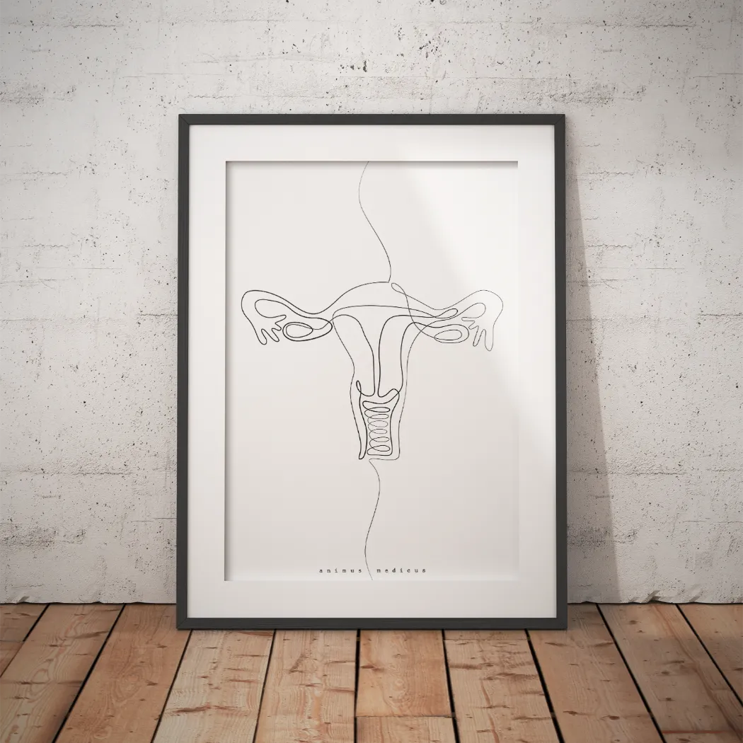 Uterus Anatomie Minimalist - Animus Medicus GmbH