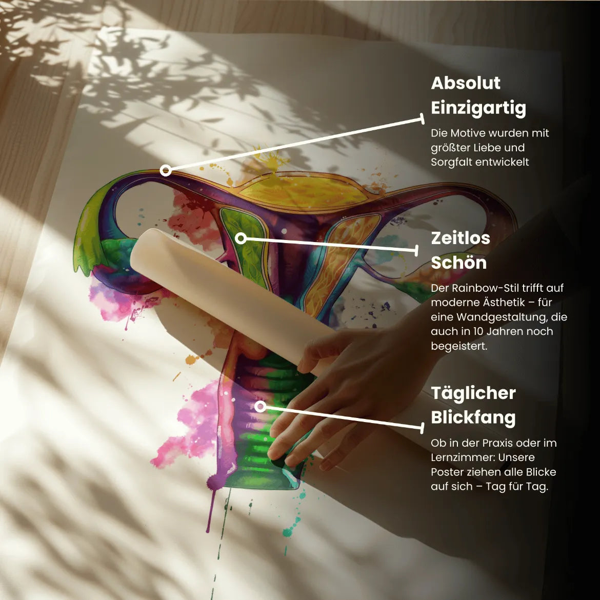 Uterus Anatomie - Rainbow - Animus Medicus GmbH