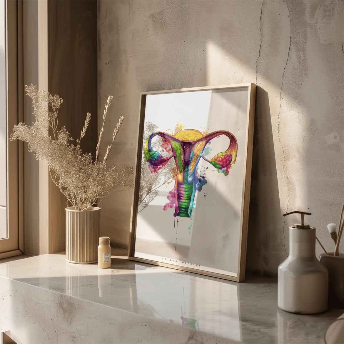 Uterus Anatomie - Rainbow - Animus Medicus GmbH