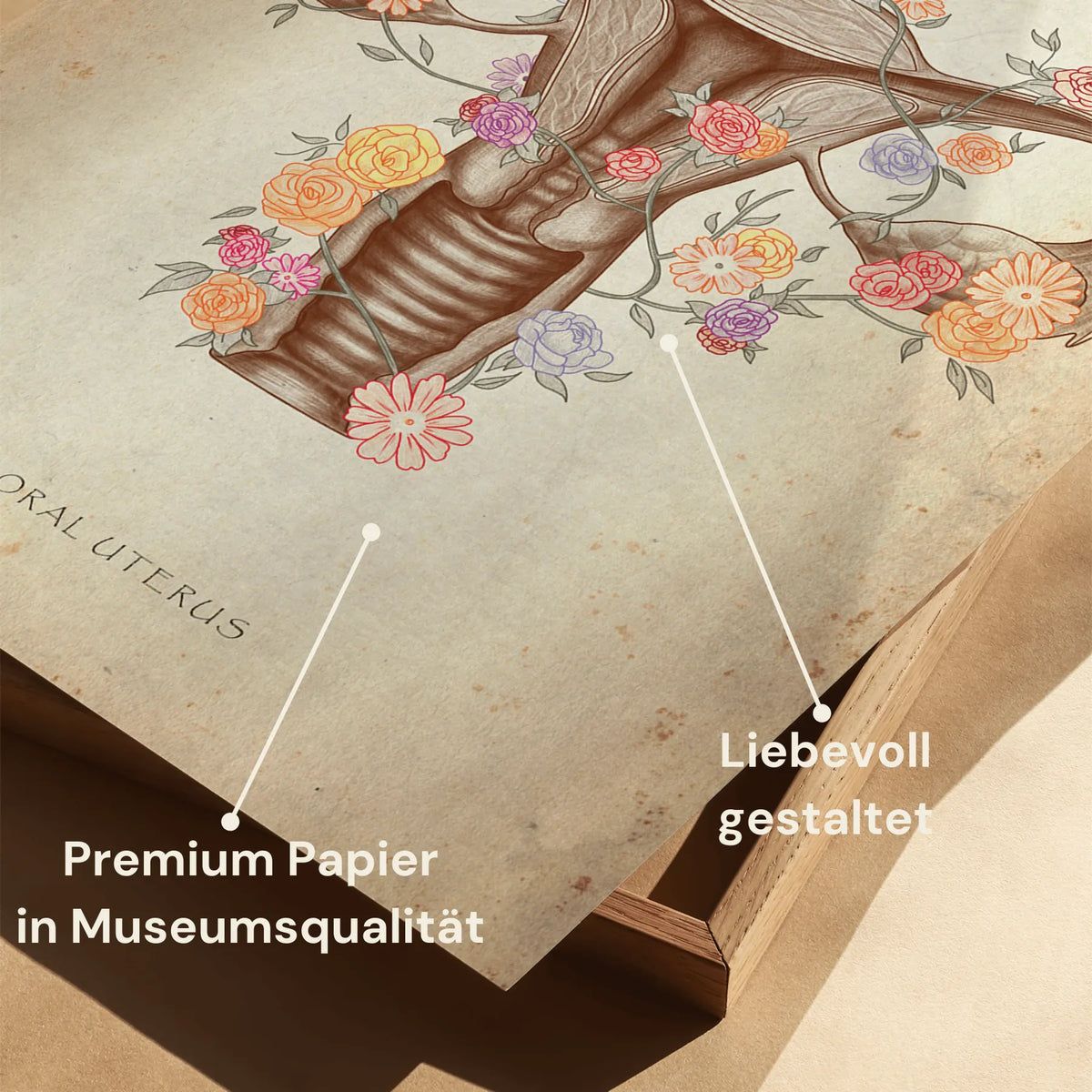 Uterus mit Blumen - Animus Medicus GmbH