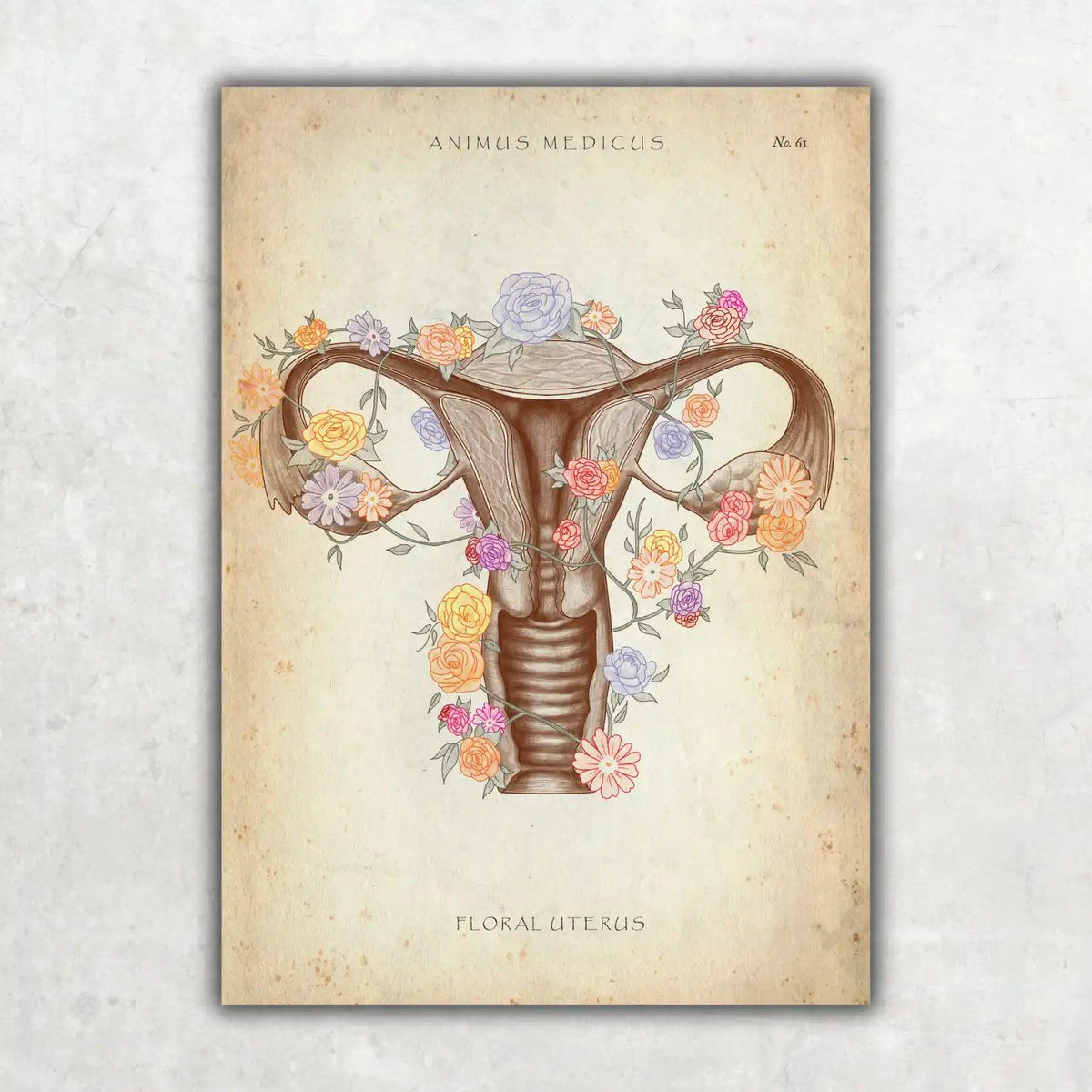 Uterus mit Blumen - Animus Medicus GmbH