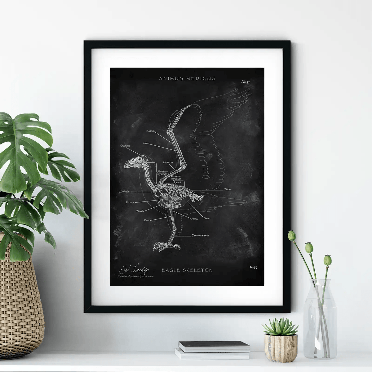 Vogel Skelett - Chalkboard - Animus Medicus GmbH