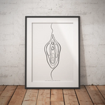 Vulva Anatomie Minimalist - Animus Medicus GmbH