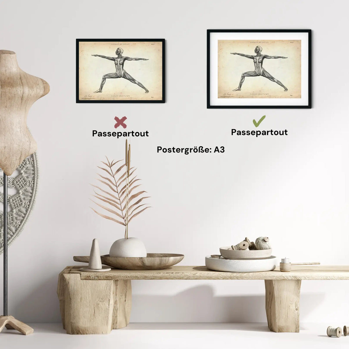 Yoga Anatomie Poster - Animus Medicus GmbH