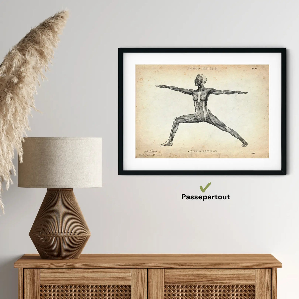 Yoga Anatomie Poster - Animus Medicus GmbH