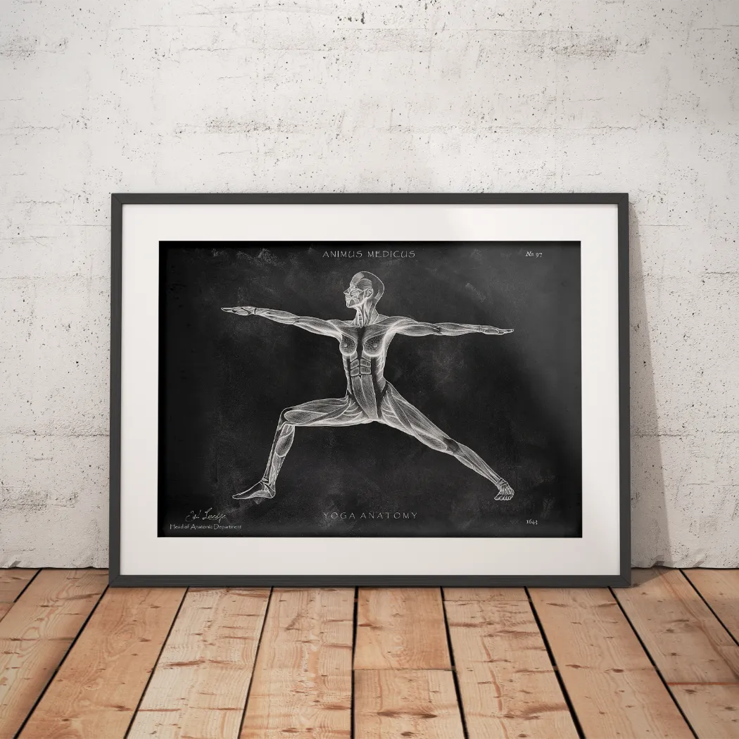 Yoga Anatomie Poster - Chalkboard - Animus Medicus GmbH