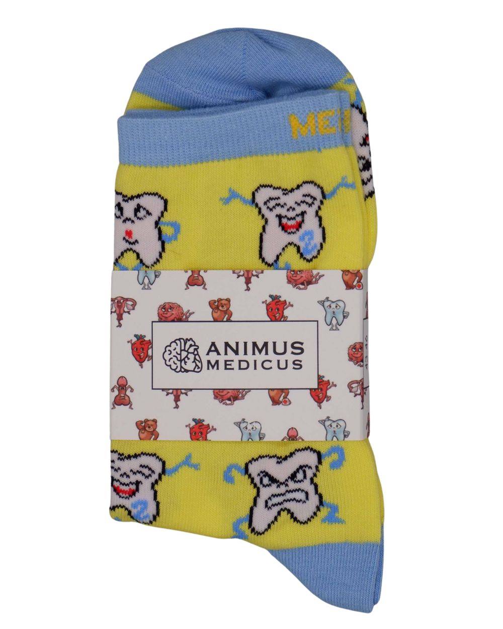 Zahn Anatomie Socken aus Bio-Baumwolle - Animus Medicus GmbH