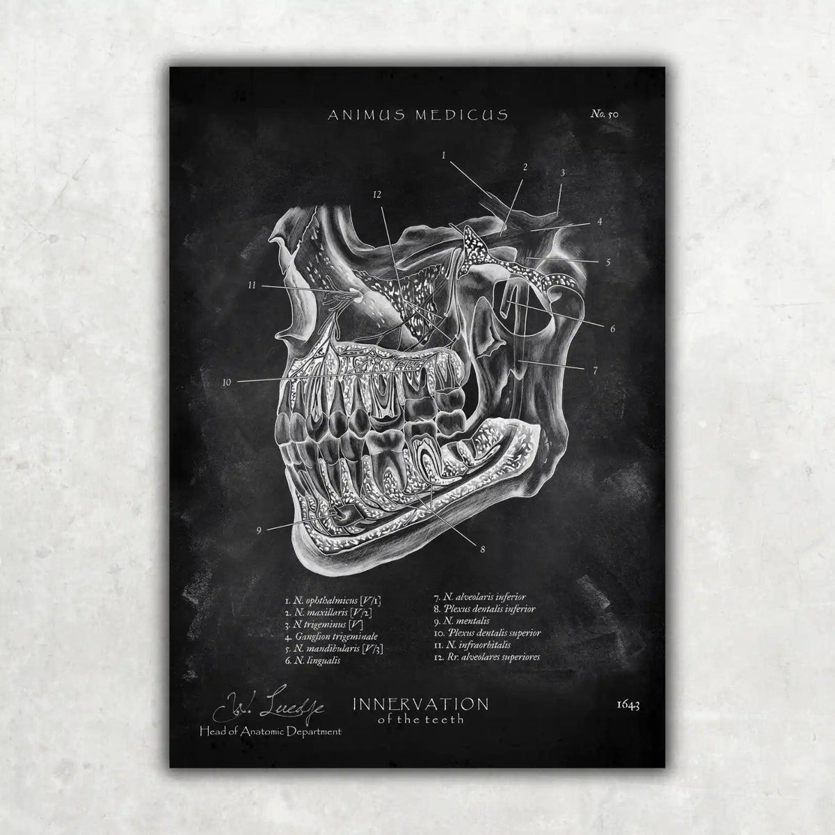 Zahnarzt Sammlung - Chalkboard - Animus Medicus GmbH