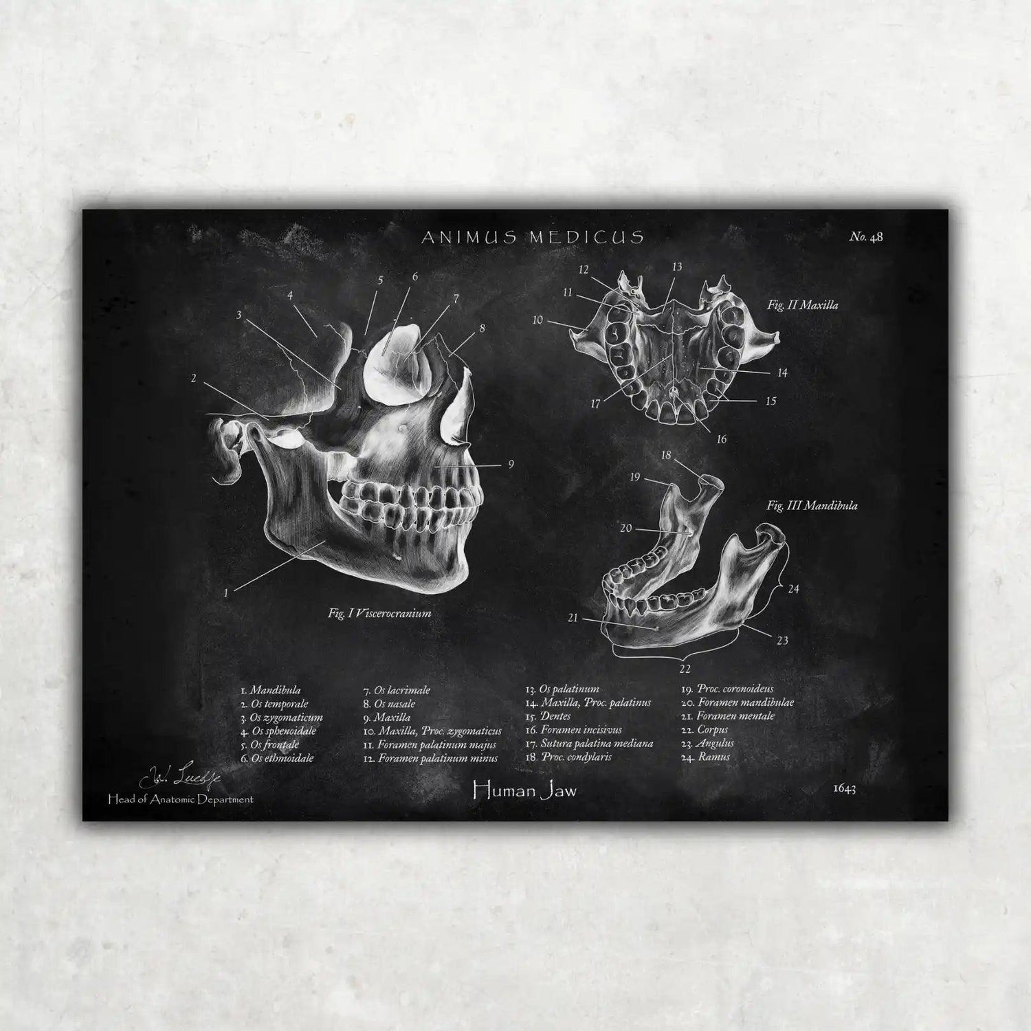 Zahnarzt Sammlung - Chalkboard - Animus Medicus GmbH