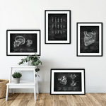 Zahnarzt Sammlung - Chalkboard - Animus Medicus GmbH