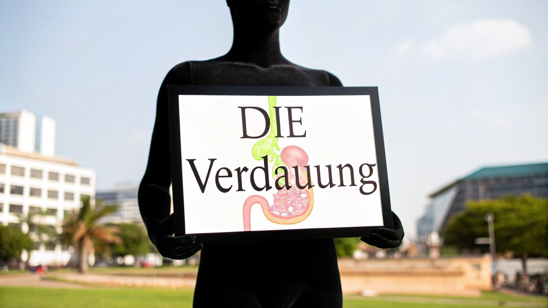 Wie funktioniert die Verdauung? Eine Reise durch den Körper