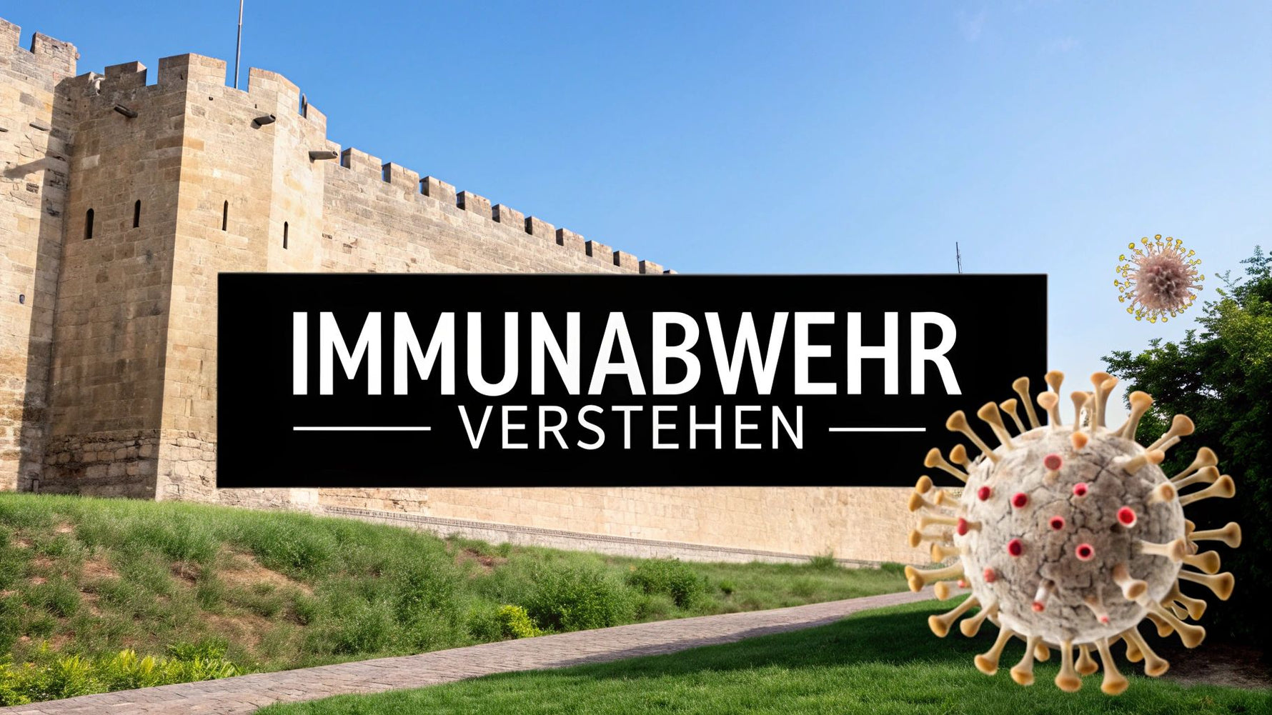 Verstehen Sie die spezifische und unspezifische Immunabwehr in Ihrem Körper