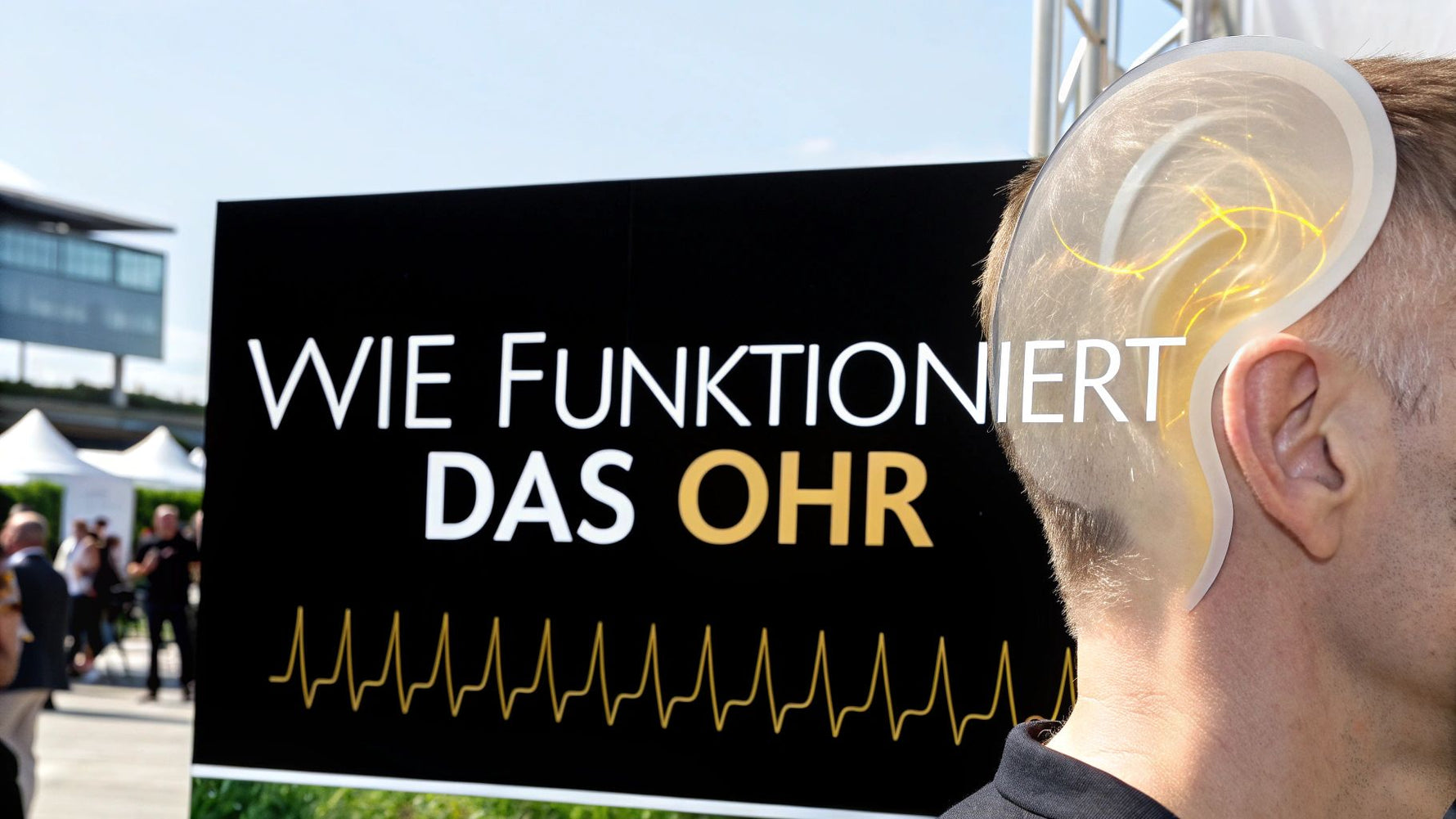 Wie funktioniert das Ohr einfach erklärt