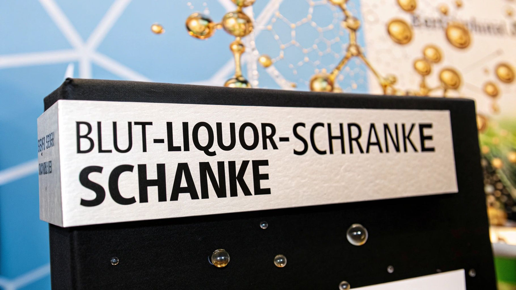 Blut-Liquor-Schranke erklärt – Wichtig für die Gesundheit