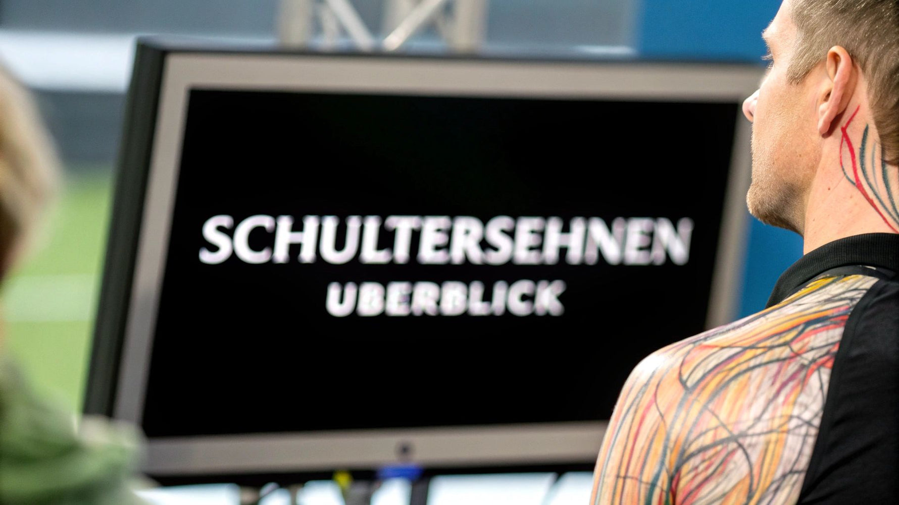 schulter anatomie sehnen: Überblick & häufige Verletzungen - Animus Medicus