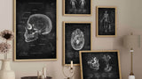 Chalkboard - Animus Medicus GmbH