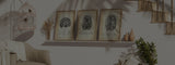 Gehirn Anatomie
