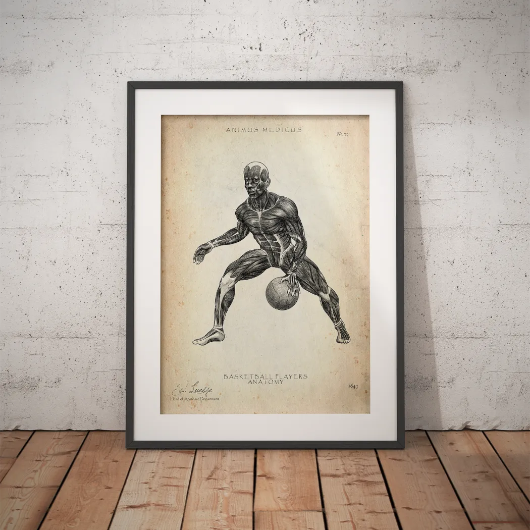 Poster Anatomie du Basket-ball