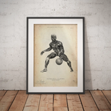 Poster Anatomie du Basket-ball