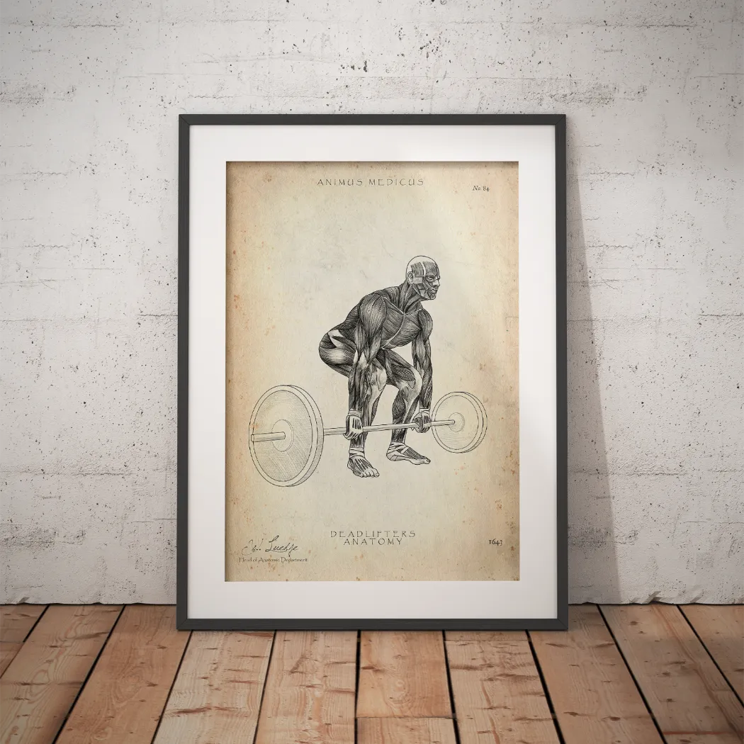 Poster Anatomie du Soulevé de Terre