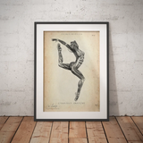 Poster d'anatomie de la gymnastique II