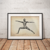 Poster d'anatomie du yoga
