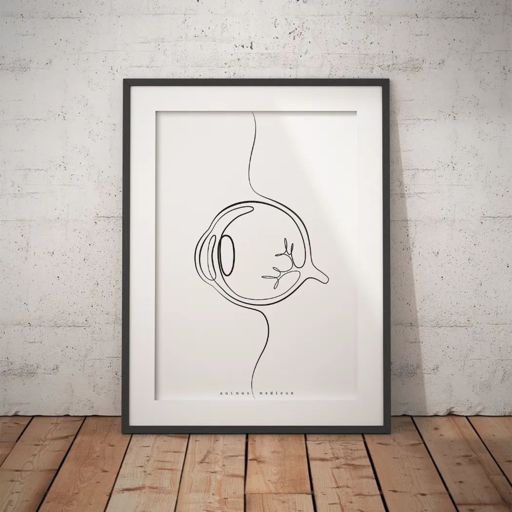Anatomie de l'œil Minimaliste