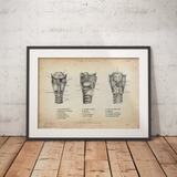 Anatomie du larynx