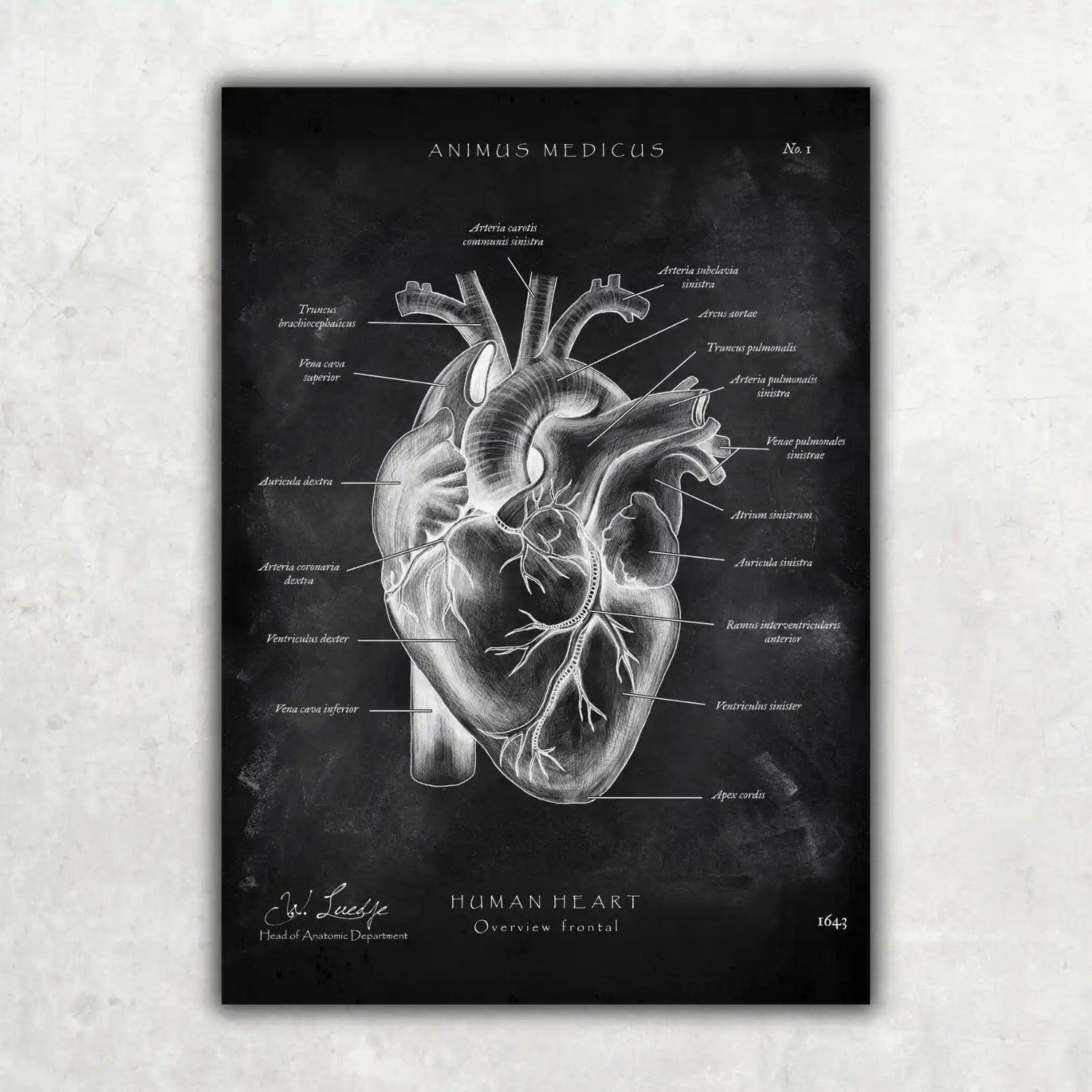 5er Paket Chalk Edition - Bestseller - Animus Medicus GmbH