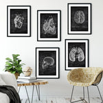 5er Paket Chalk Edition - Bestseller - Animus Medicus GmbH