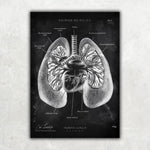 5er Paket Chalk Edition - Bestseller - Animus Medicus GmbH