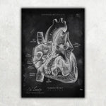5er Paket Chalk Edition - Bestseller - Animus Medicus GmbH