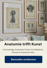 Anatomie Poster von Animus Medicus