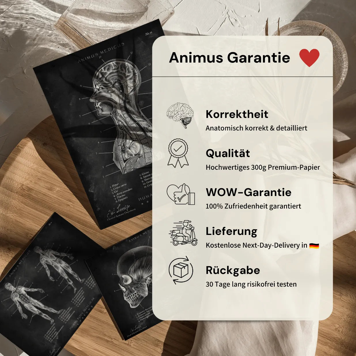 Anatomie du cœur - Tableau noir